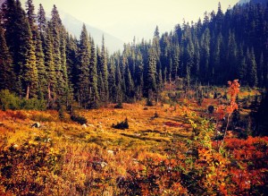 washington wilderness